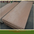 BB/CC Grade Door Size Plywood with Bintangor Veneer